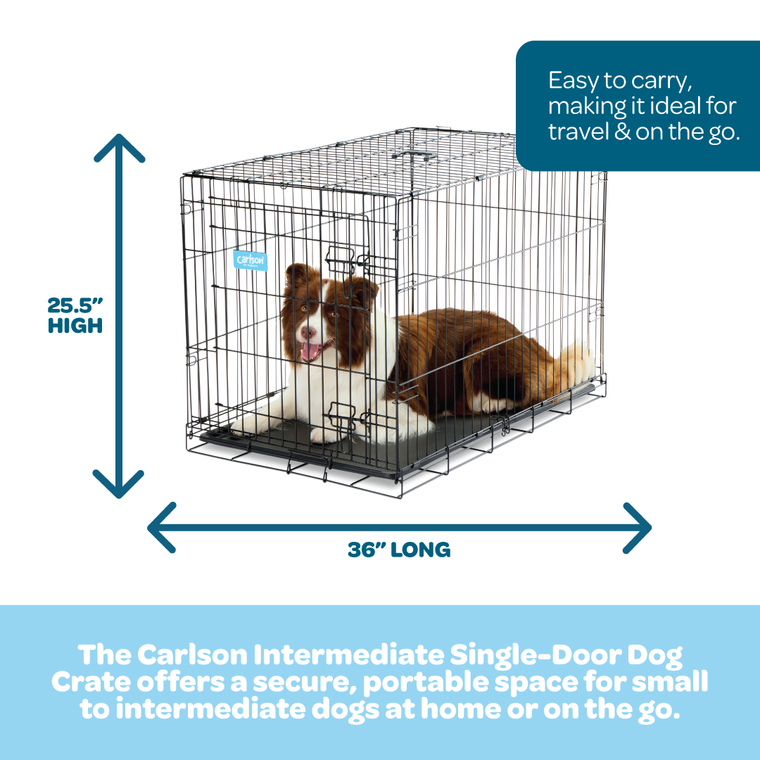 carlson-crates-pens-intermediate-hundebox-einzelt-r-stahl image 2