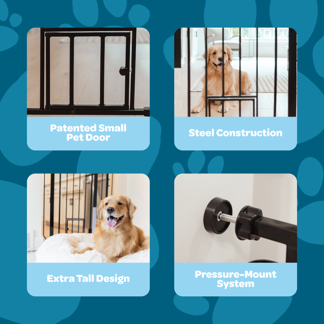 carlson-walk-thru-hundegitter-schwarz-91-hoch-kleintiert-r image 3