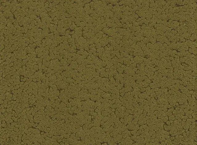 arketipo-complementi-olive-outdoor-wohnaccessoire image 1