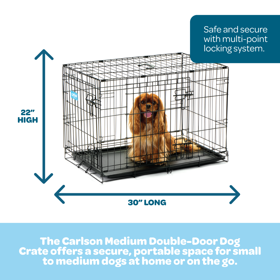 carlson-crates-medium-double-door-hundebox-schwarz-faltbar image 2