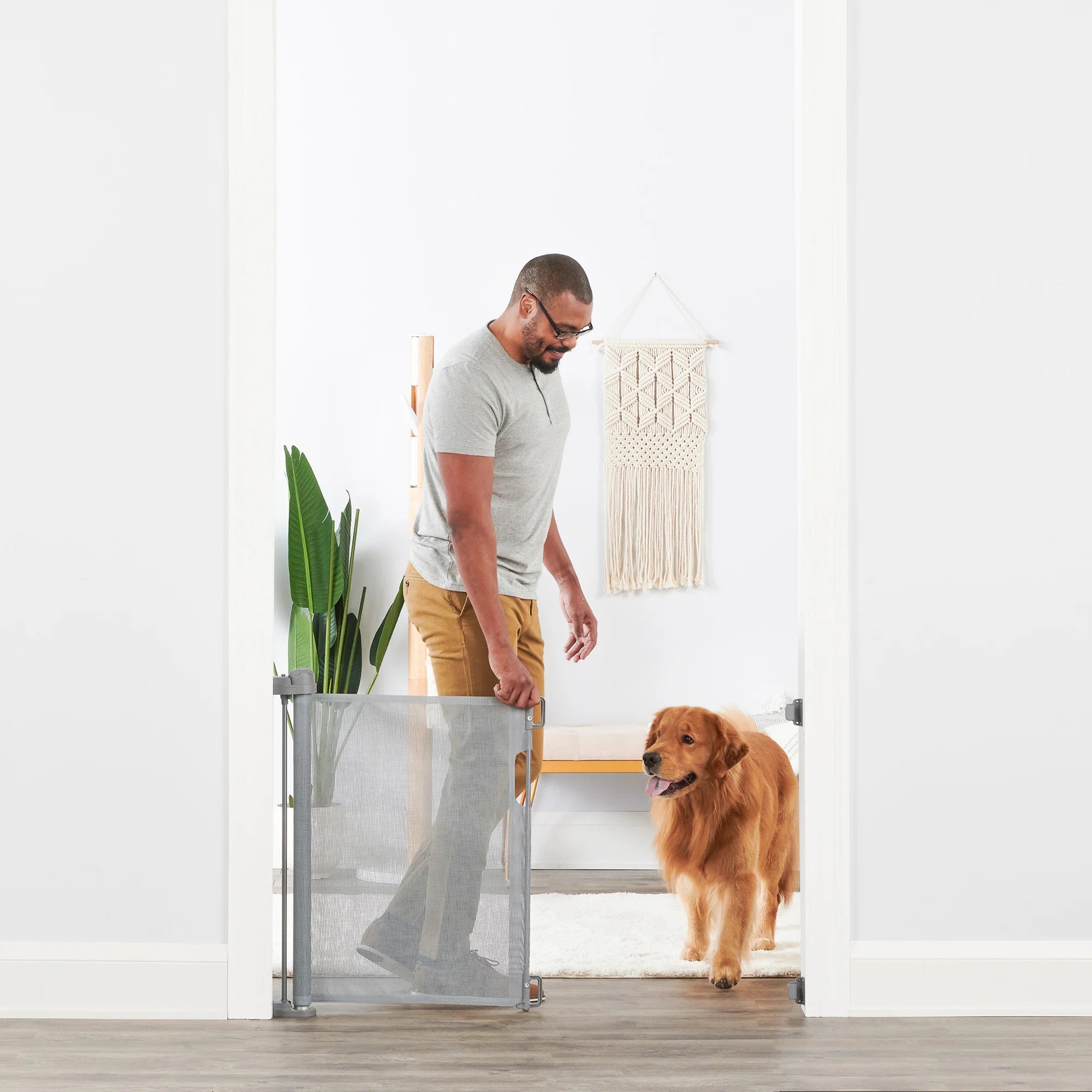 carlson-gates-retractable-hundegitter-mesh-127-cm image 4