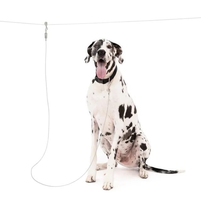 carlson-tie-outs-laufleine-hund-stahl-15m-3m-bis-90kg image 1