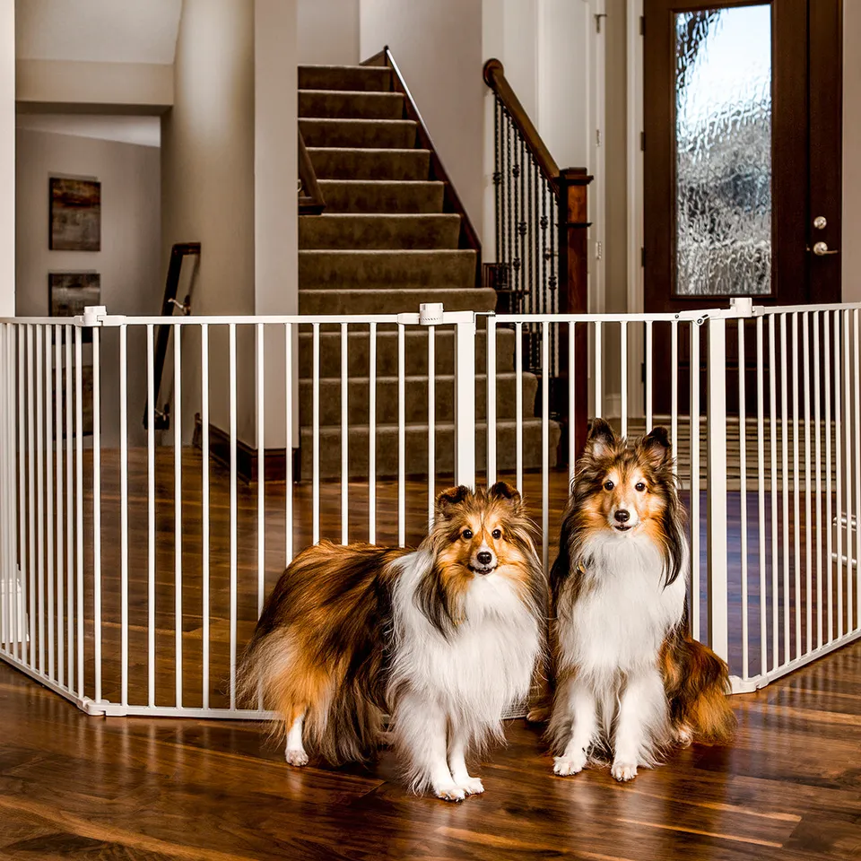 carlson-gates-super-wide-convertible-hundegitter-stahl-305-cm image 1