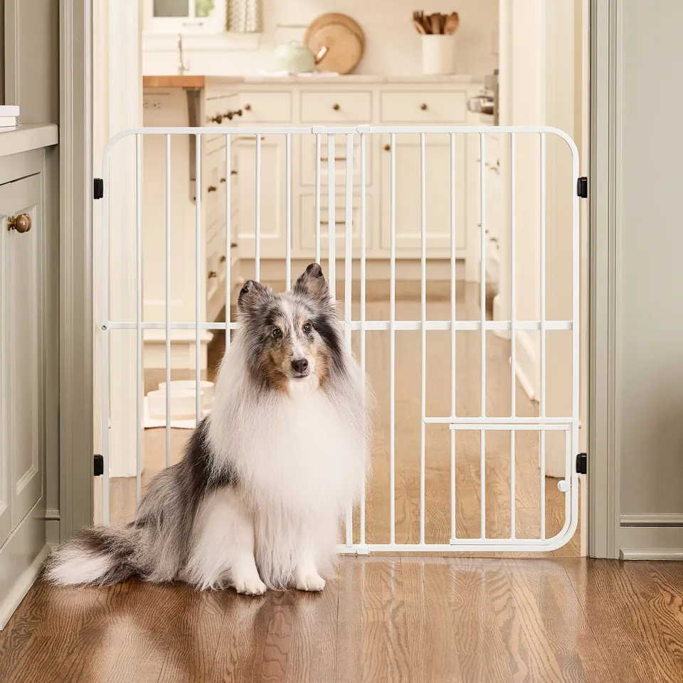 carlson-big-tuffy-hundegitter-wei-ausziehbar-kleintiert-r image 1