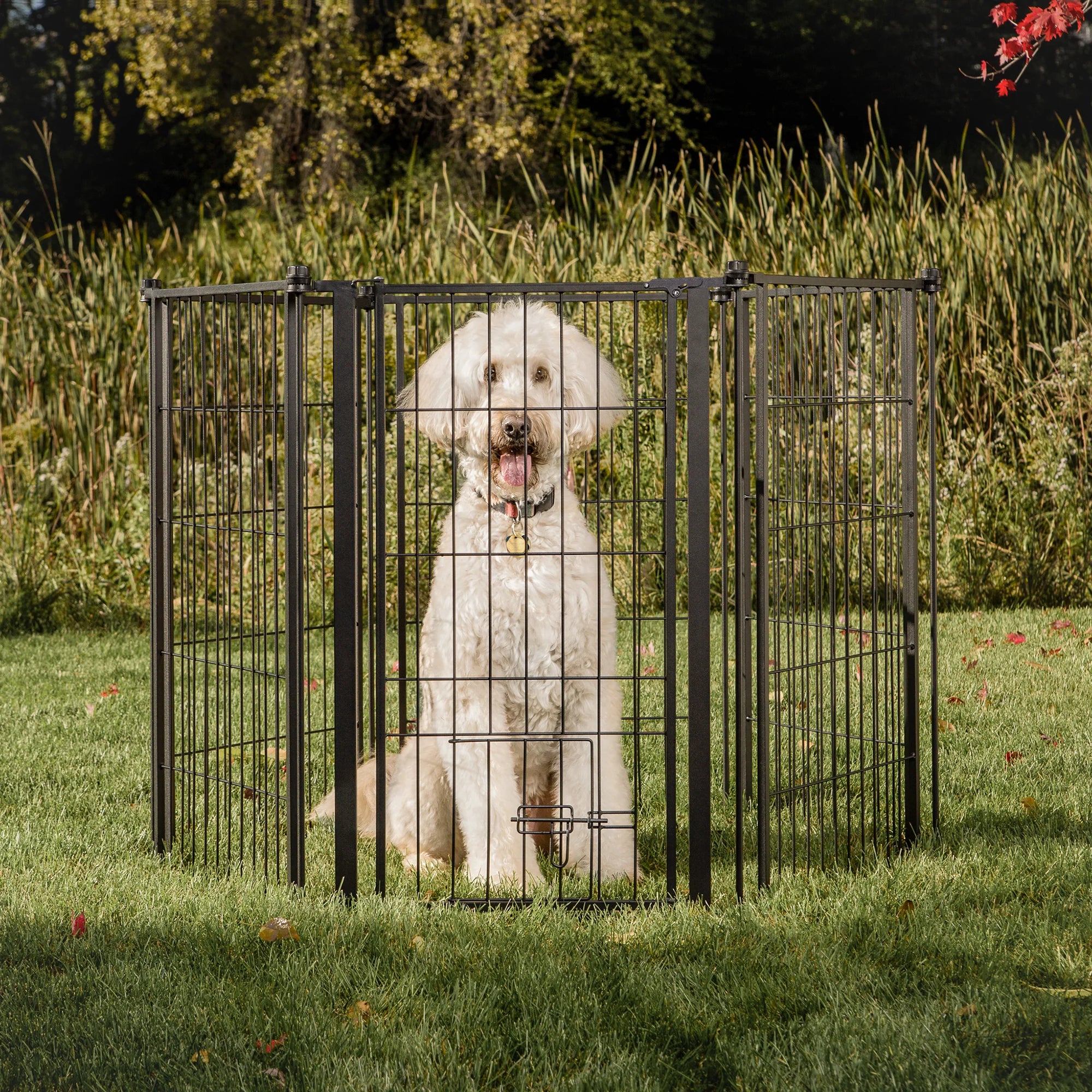 carlson-outdoor-welpenauslauf-6-teilig-91x365-cm-mit-hundetor image 4