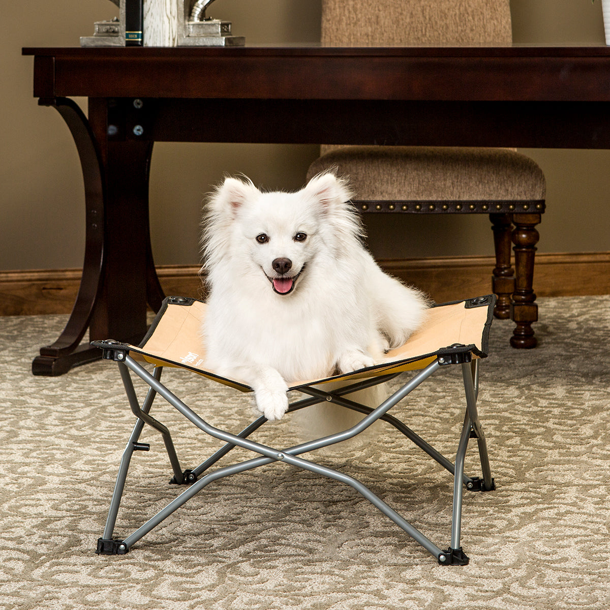 carlson-beds-portable-pup-hundebett-faltbar-61x61-cm-canvas image 3