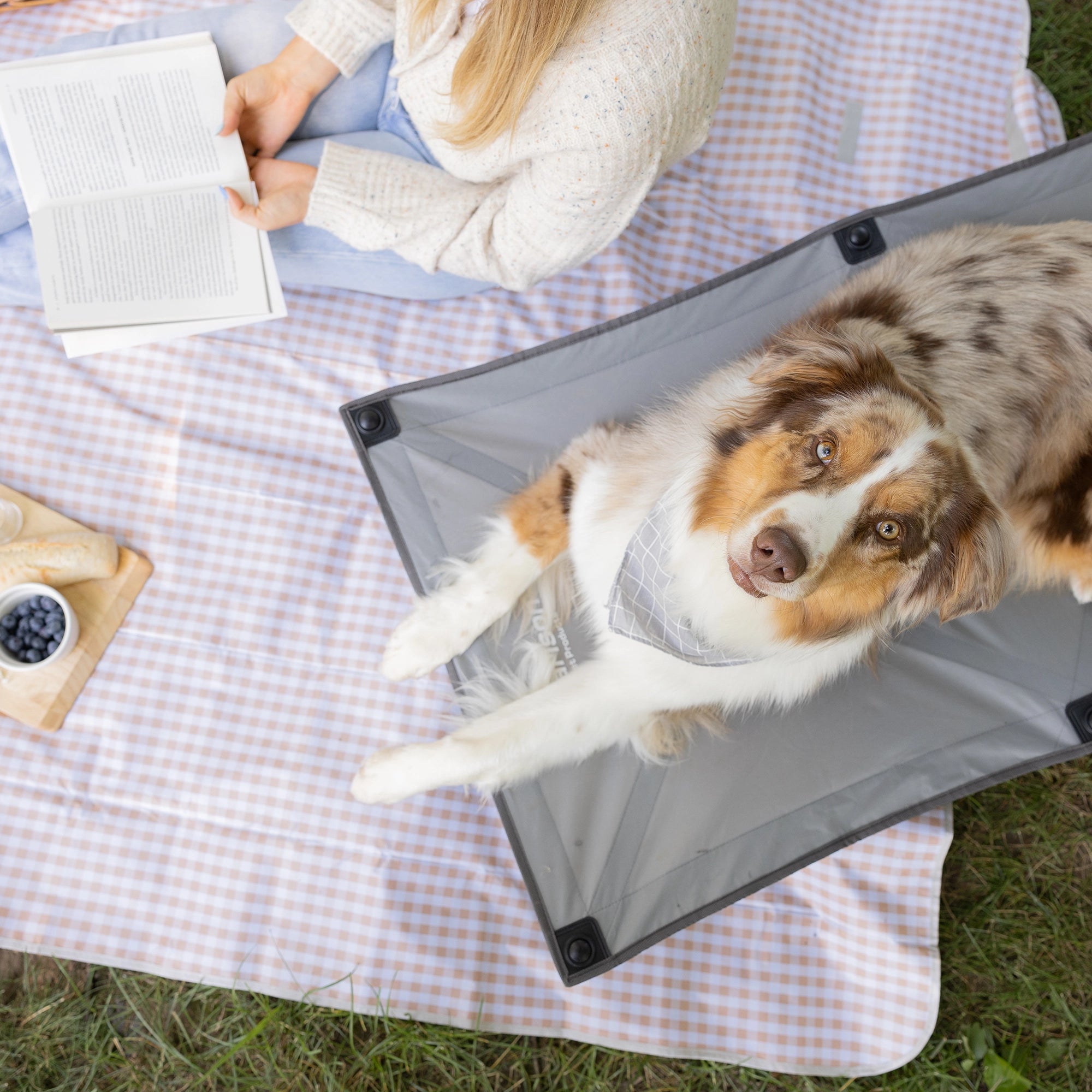 carlson-beds-large-portable-pup-hundebett-grau-faltbar image 6
