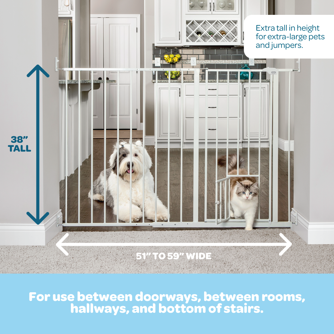 carlson-gates-maxi-extra-tall-walk-thru-hundetor-wei-96-cm image 2