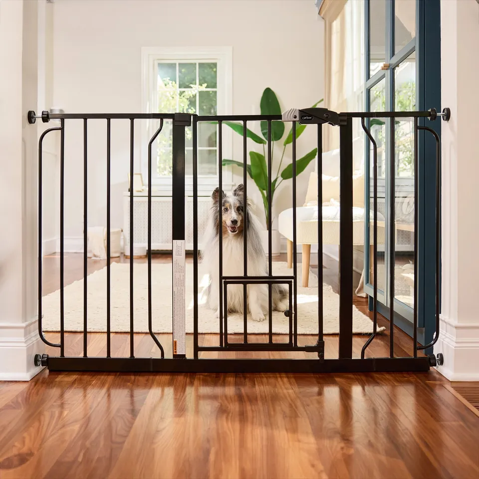 carlson-gates-51-walk-thru-hundegitter-griff-schwarz image 1
