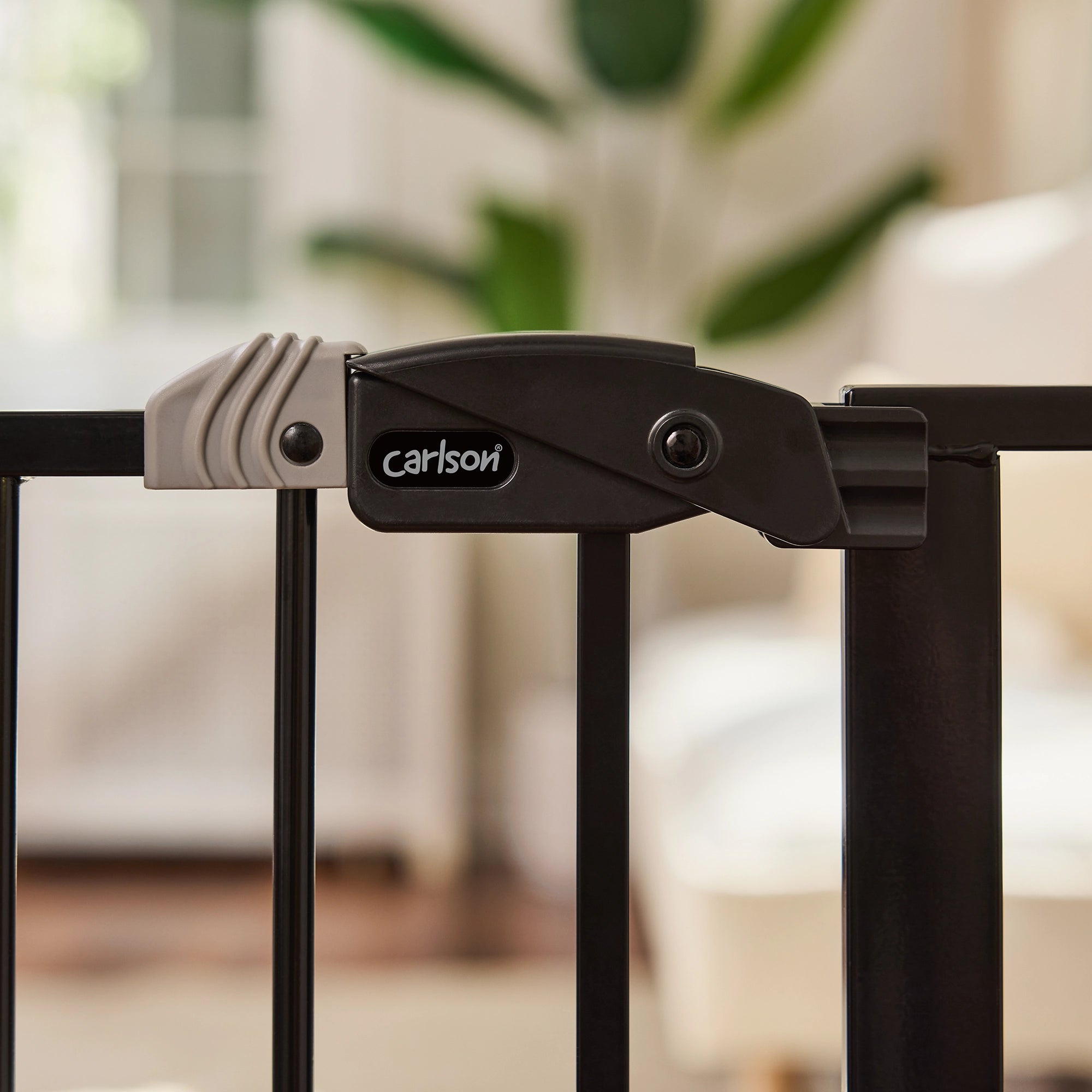 carlson-gates-51-walk-thru-hundegitter-griff-schwarz image 8