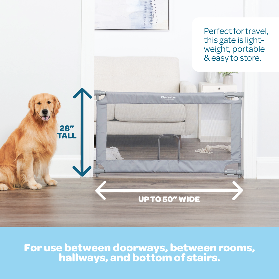 carlson-gates-expandable-mesh-hundegitter-grau-mit-kleintierklappe image 2