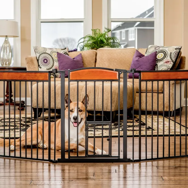 carlson-gates-design-paw-flexi-hundegitter-schwarz-71-193-cm image 1