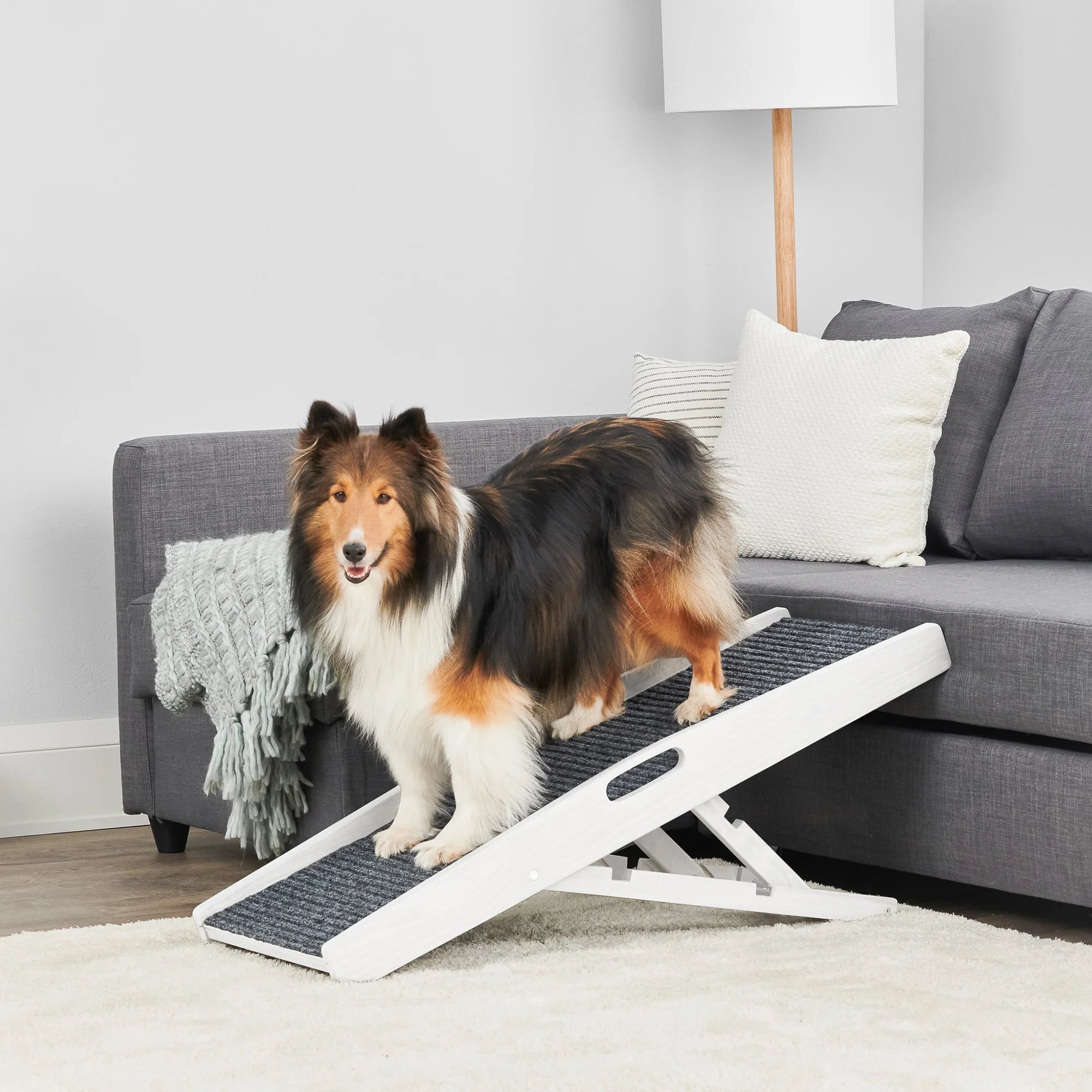 carlson-indoor-hunderampe-wei-klappbar-bis-36-kg image 6
