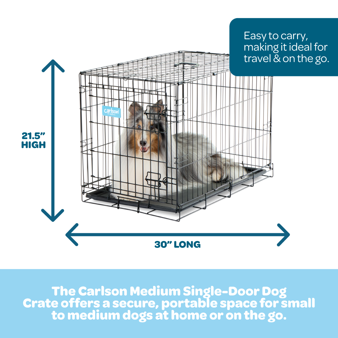carlson-crates-pens-medium-hundek-fig-m-einzelt-r-stahl image 2