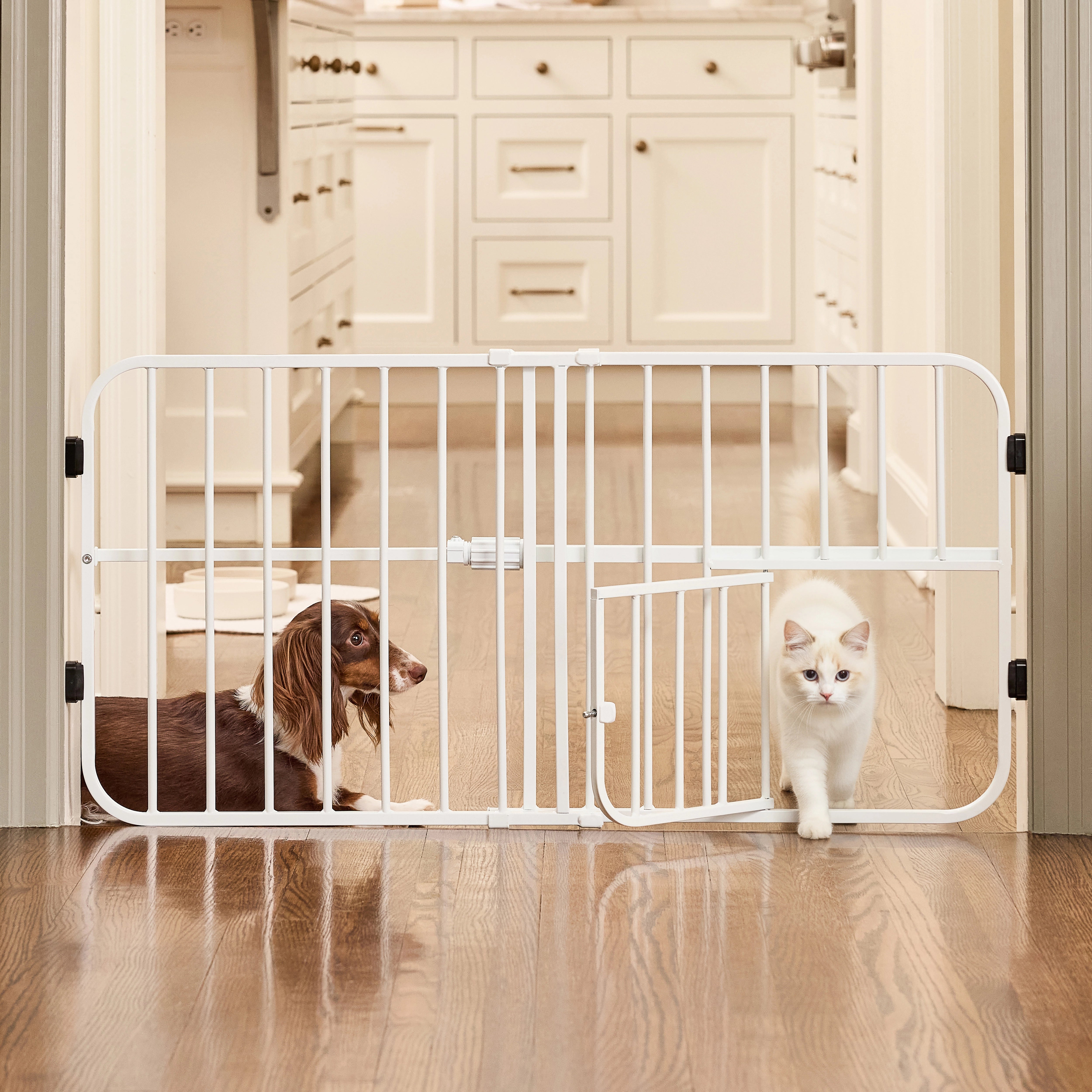 carlson-lil-tuffy-hundegitter-wei-46-cm-f-r-welpen image 5