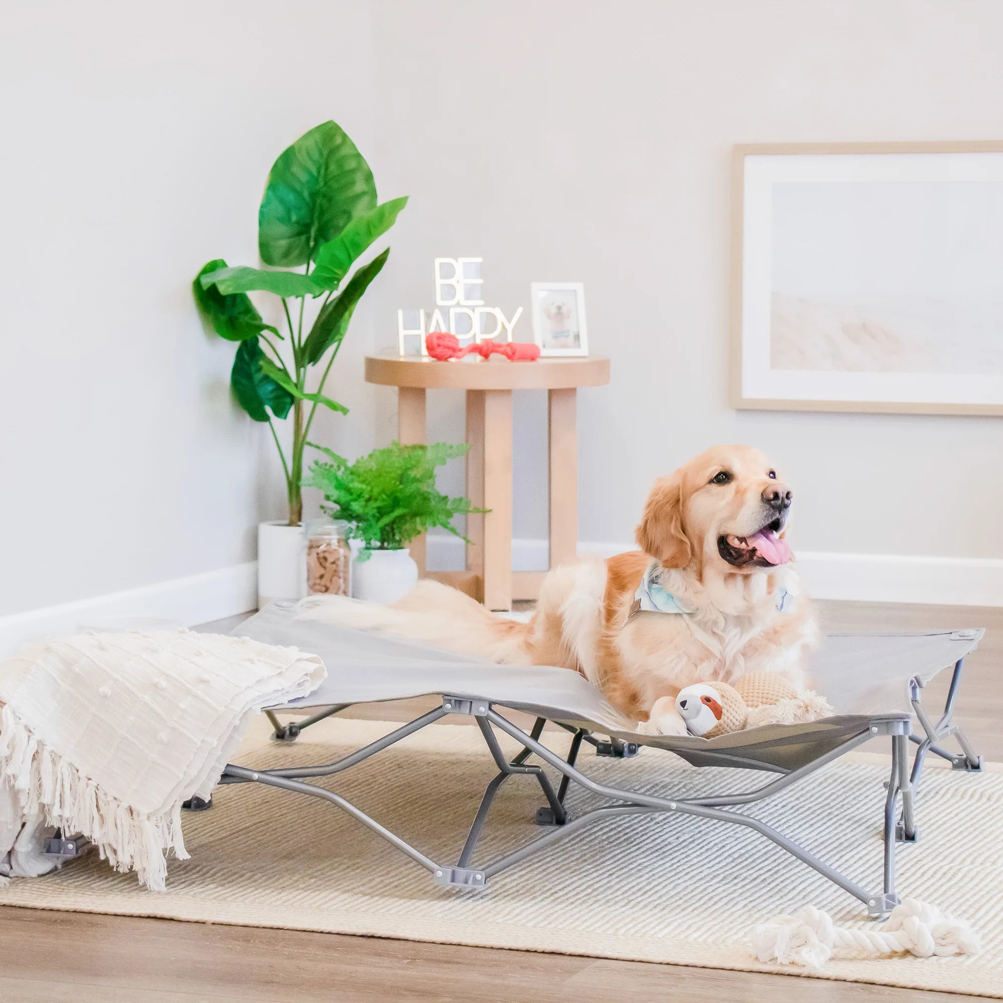 carlson-portable-pup-hundebett-grau-extrabreit-119-cm image 5
