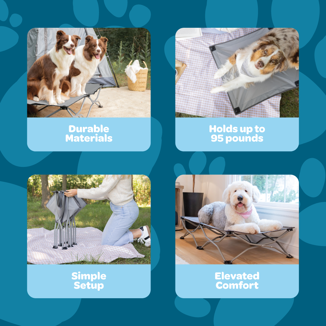carlson-beds-large-portable-pup-hundebett-grau-faltbar image 3