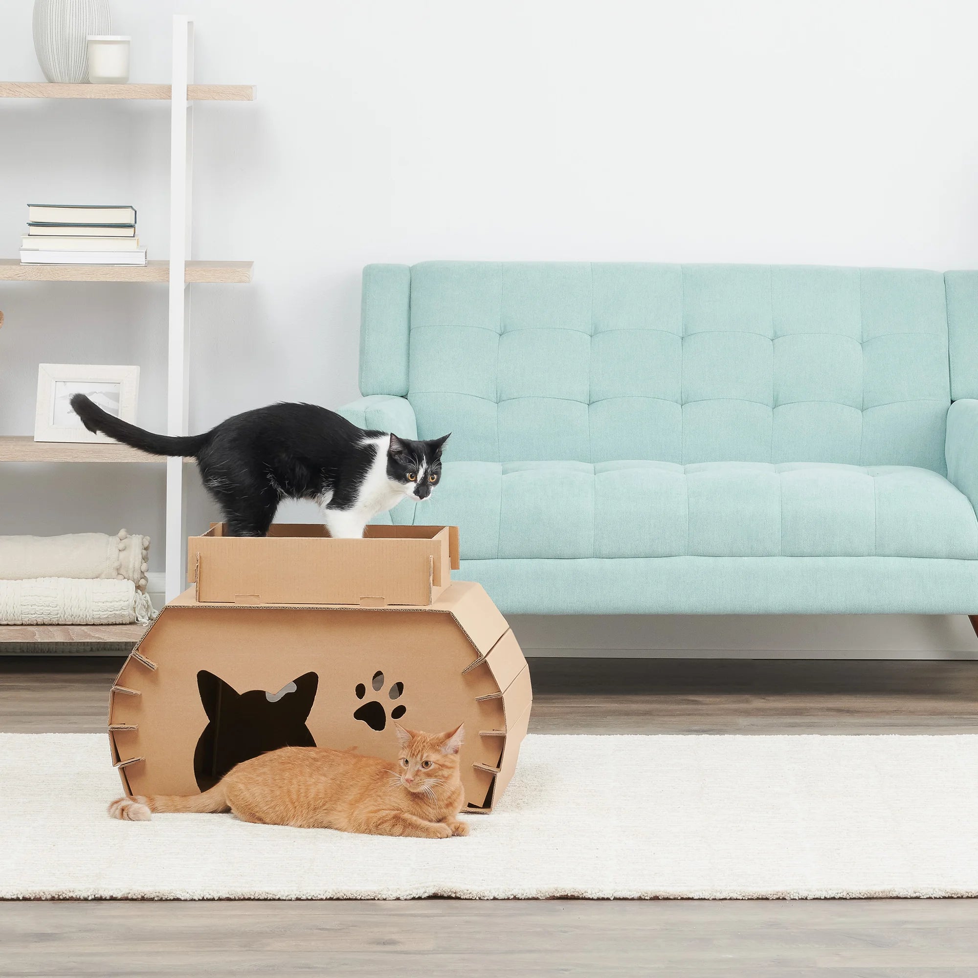 carlson-cat-camper-katzenhaus-pappe-mit-kratzer image 5