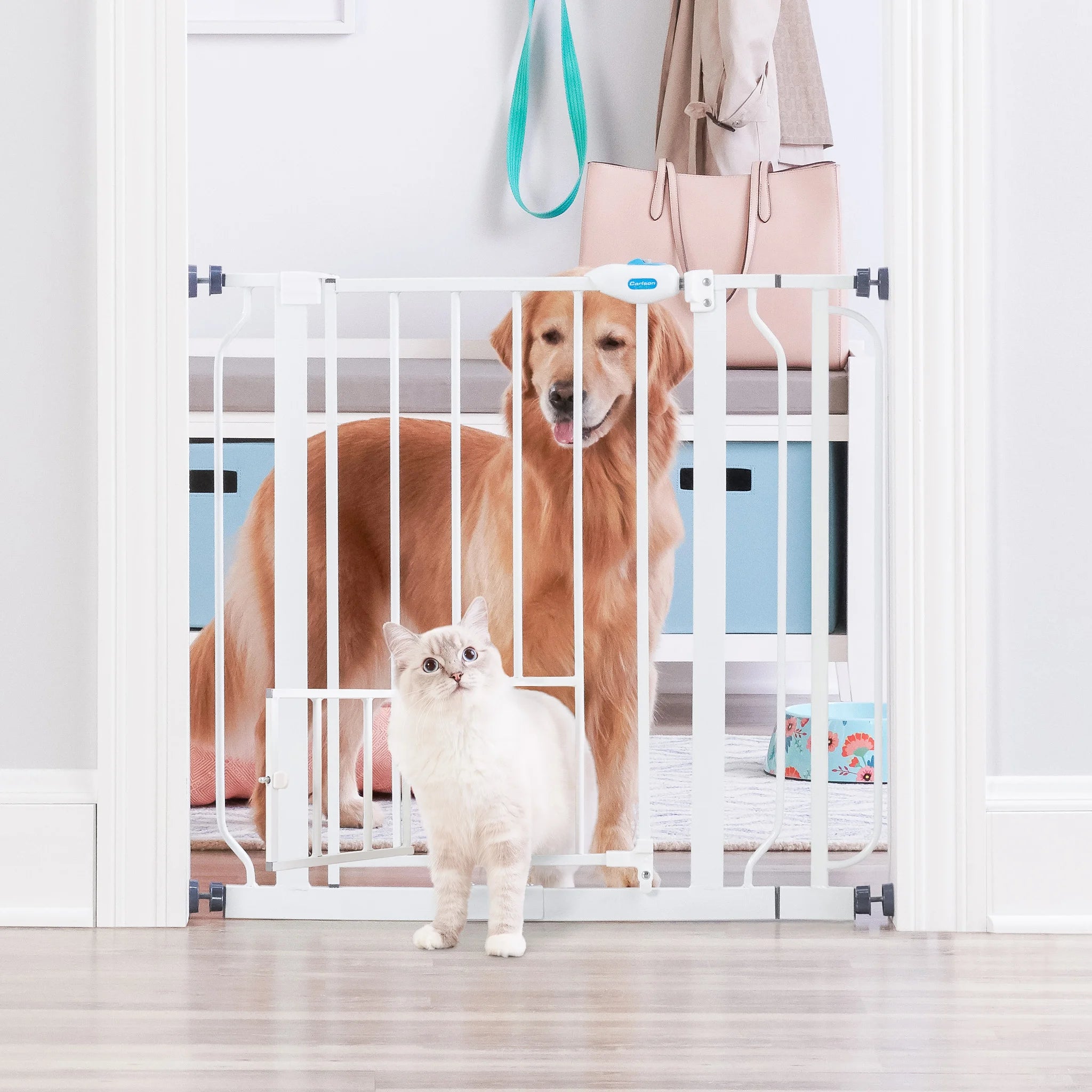 carlson-gates-extra-wide-walk-thru-hundegitter-wei-kleintiert-r image 5
