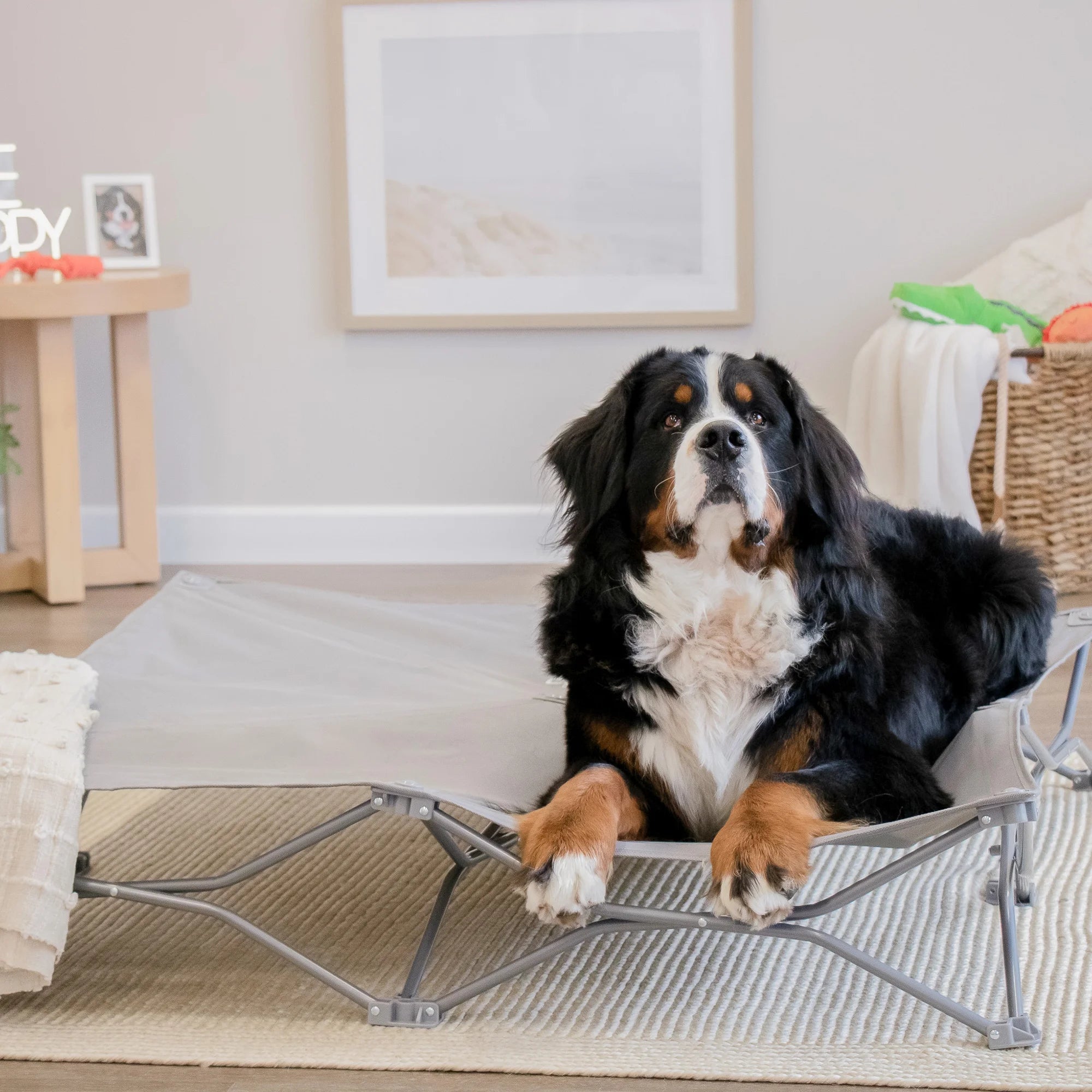 carlson-portable-pup-hundebett-grau-extrabreit-119-cm image 1
