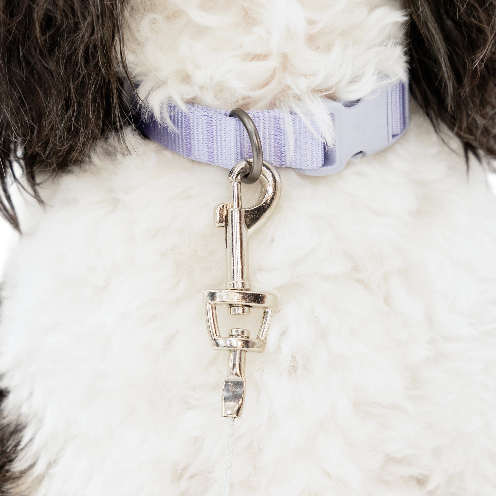 carlson-tie-outs-small-hunde-anleine-3-m-23-kg image 6