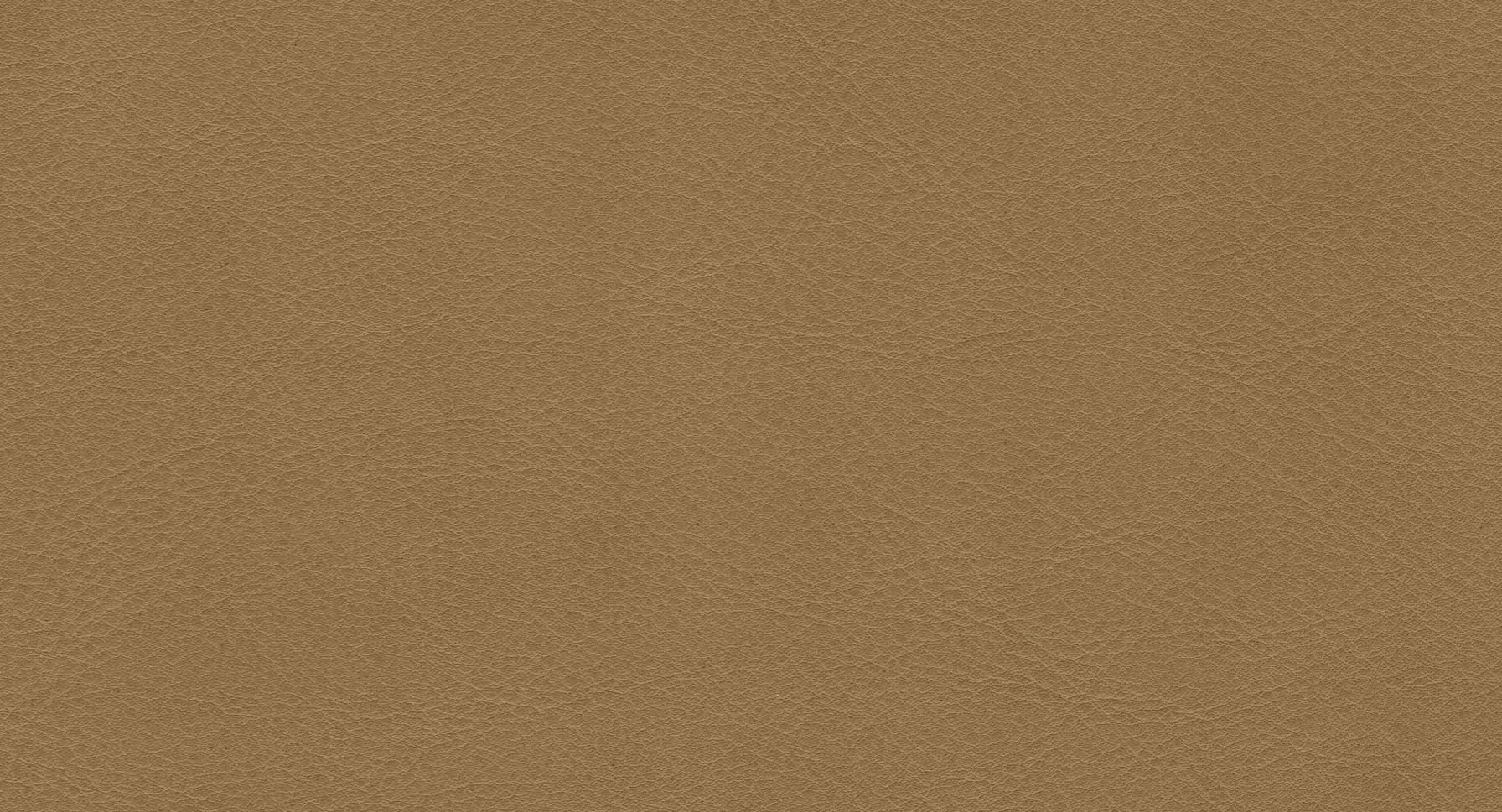arketipo-complementi-pelle-a-anilina-sideboard-leder image 1