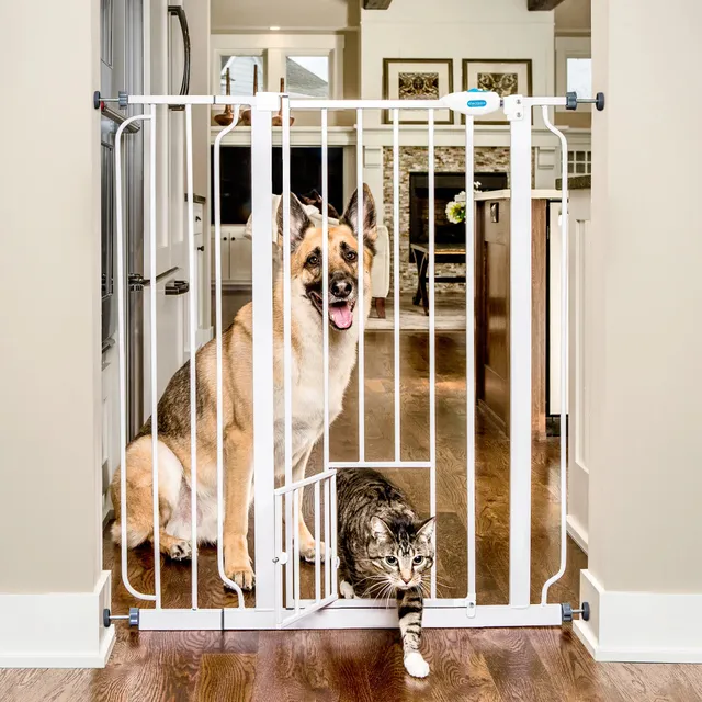 carlson-extra-tall-hundegitter-wei-104-cm-mit-t-r image 1