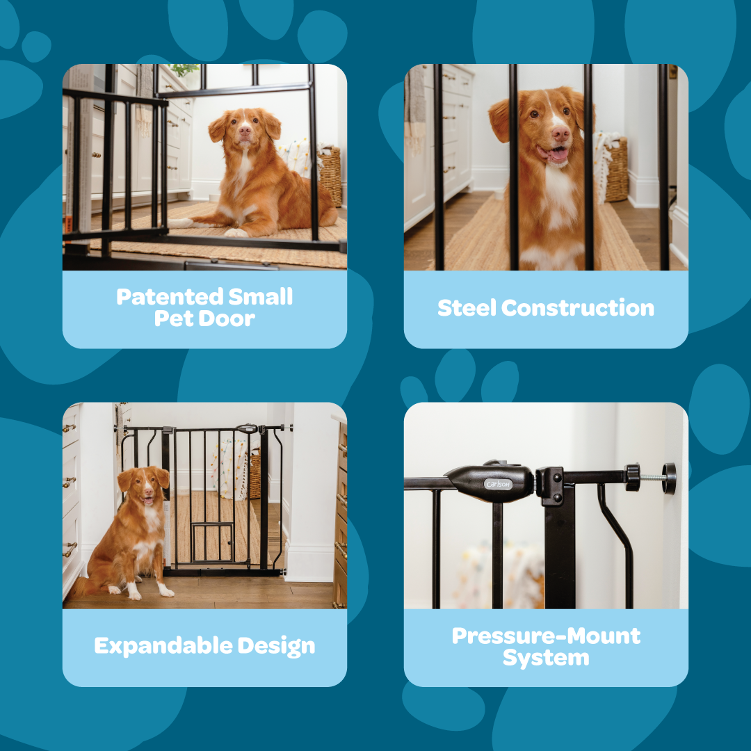 carlson-gates-extra-wide-walk-thru-hundegitter-schwarz image 3