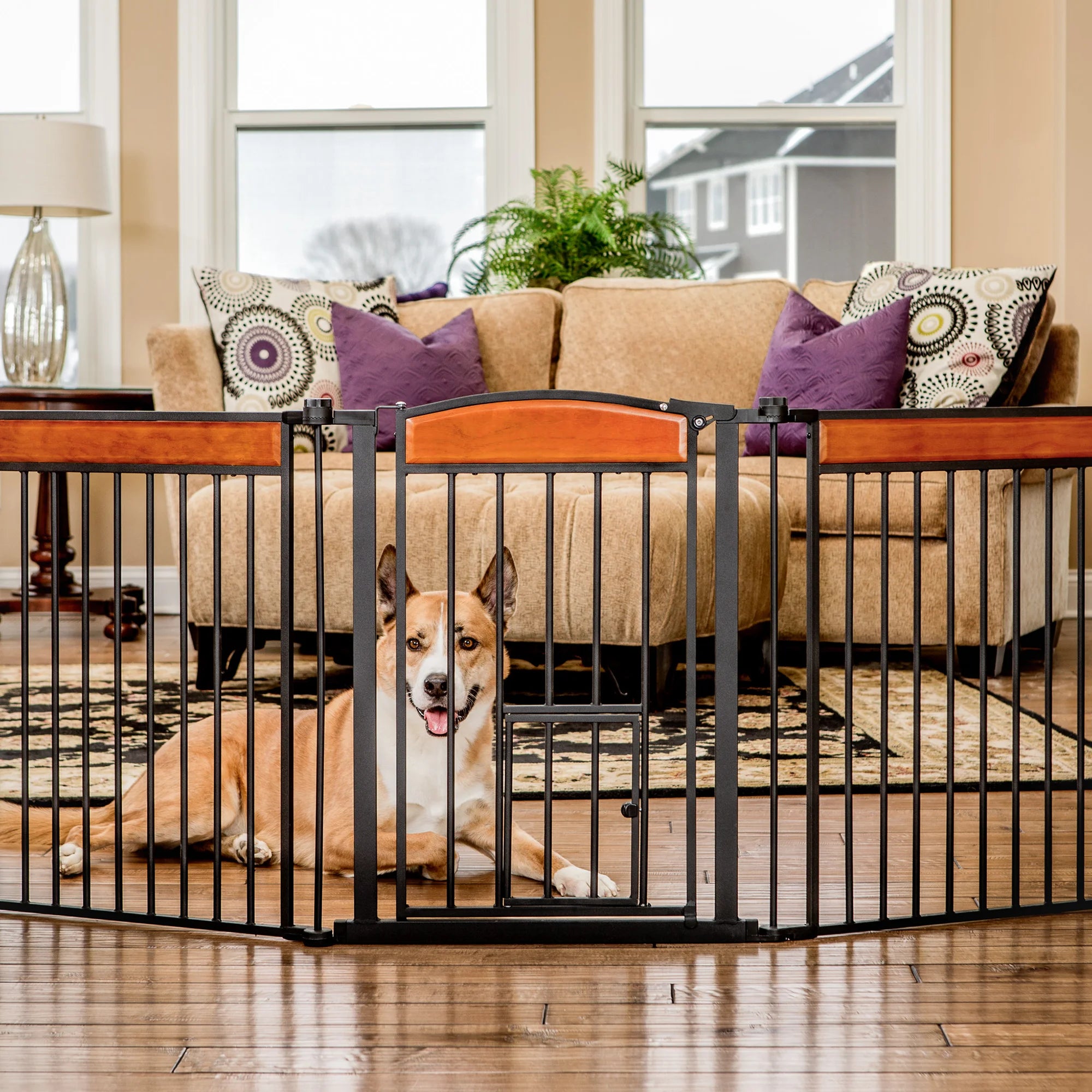 carlson-gates-design-paw-flexi-hundegitter-schwarz-71-193-cm image 1