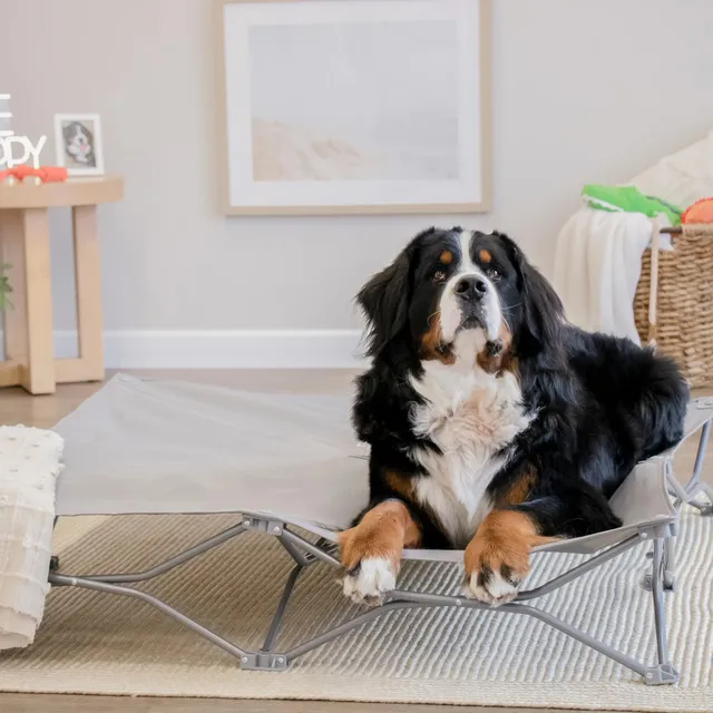 carlson-portable-pup-hundebett-grau-extrabreit-119-cm image 1