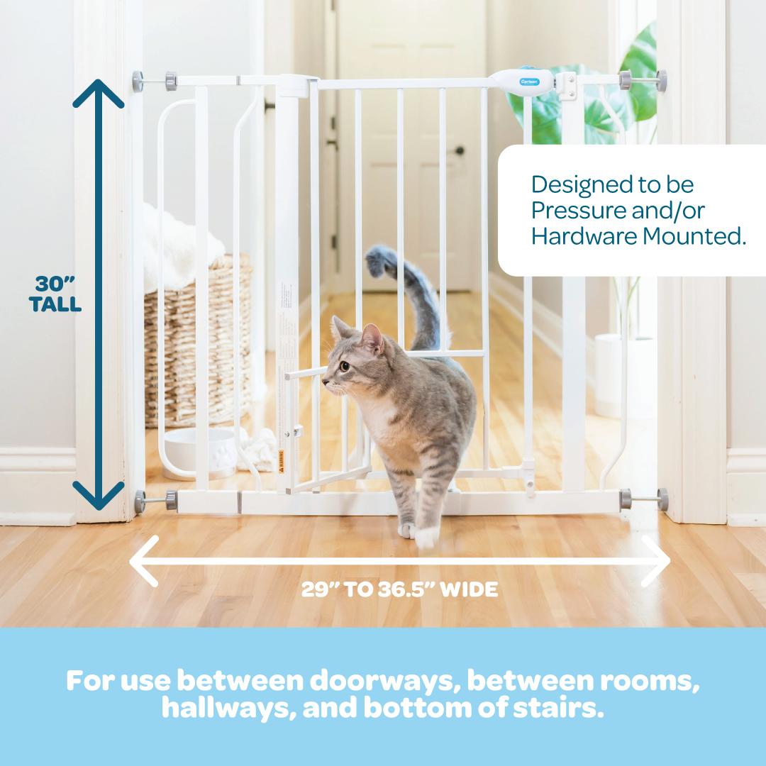 carlson-gates-extra-wide-walk-thru-hundegitter-wei-kleintiert-r image 2